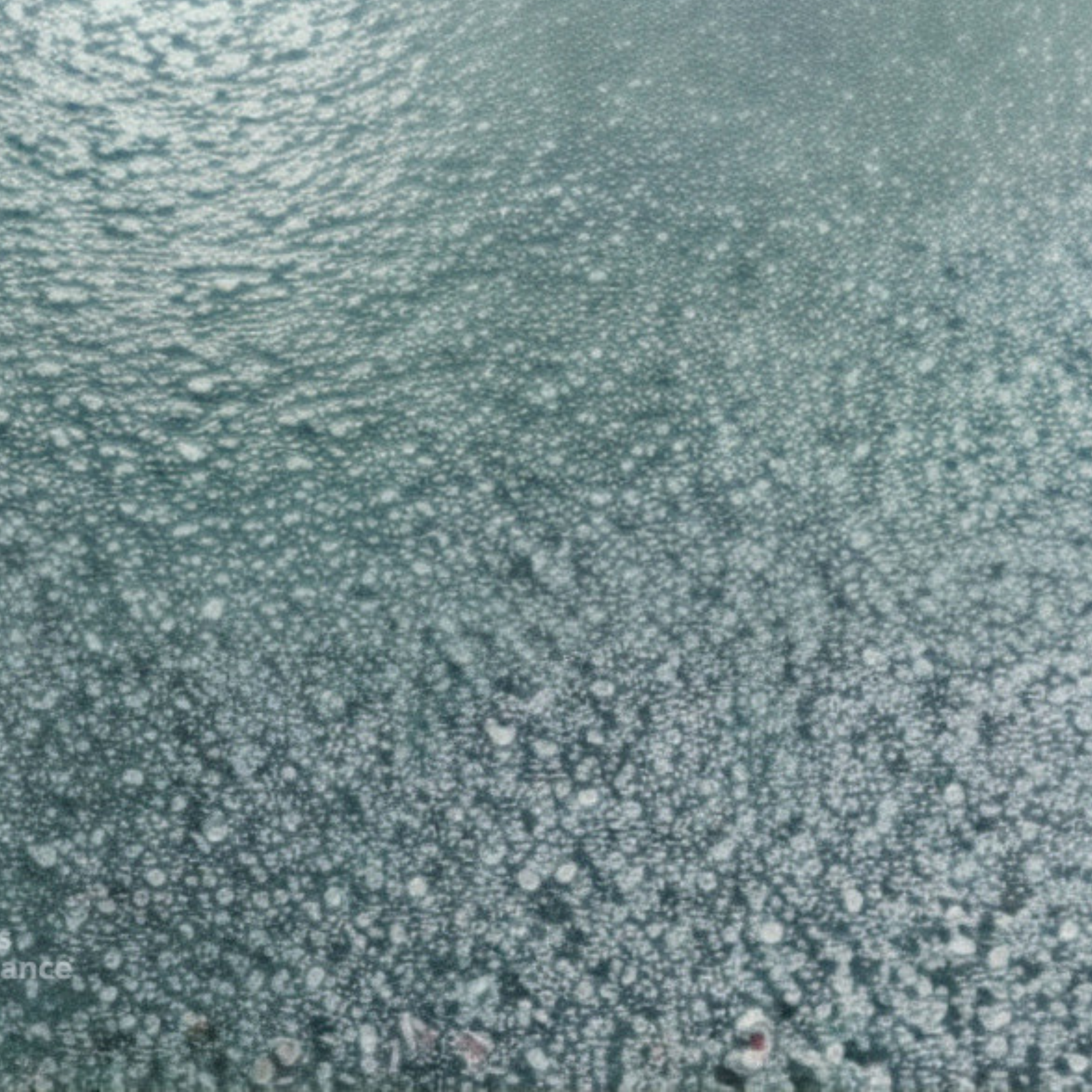 Shama Suasana Johor Bahru